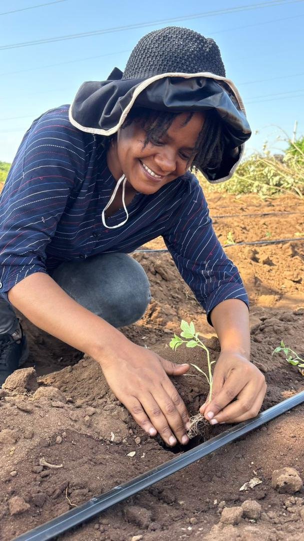 Sustainable Agriculture Initiative - Image 12